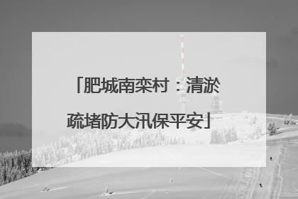 肥城南栾村：清淤疏堵防大汛保平安