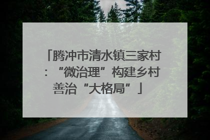 腾冲市清水镇三家村：“微治理”构建乡村善治“大格局”