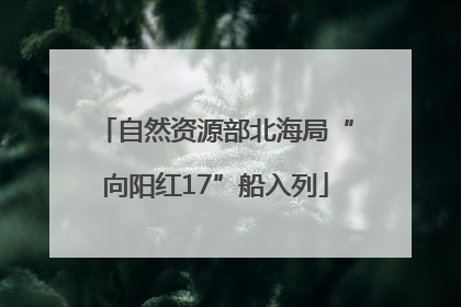 自然资源部北海局“向阳红17”船入列