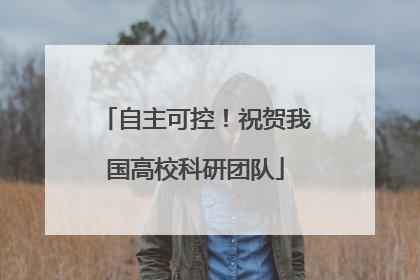 自主可控！祝贺我国高校科研团队