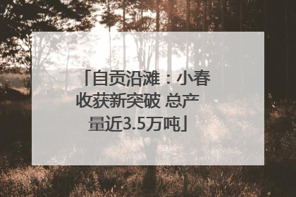 自贡沿滩：小春收获新突破 总产量近3.5万吨