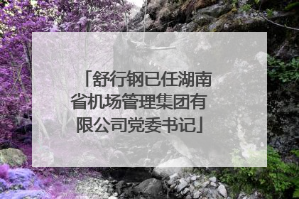 舒行钢已任湖南省机场管理集团有限公司党委书记