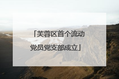 芙蓉区首个流动党员党支部成立
