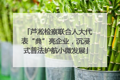 芦淞检察联合人大代表“典”亮企业，沉浸式普法护航小微发展