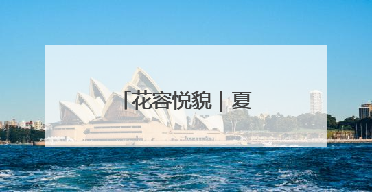 花容悦貌｜夏至已至，南京“荷”处有美韵