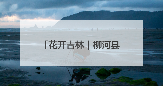 花开吉林｜柳河县千亩芍药竞芳菲