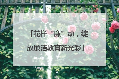 花样“廉”动，绽放廉洁教育新光彩