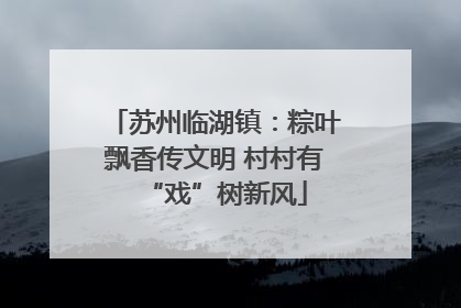 苏州临湖镇：粽叶飘香传文明 村村有“戏”树新风
