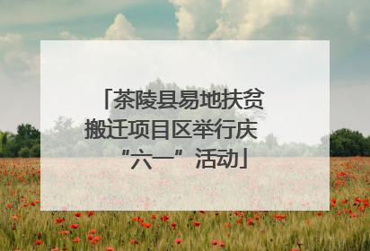 茶陵县易地扶贫搬迁项目区举行庆“六一”活动