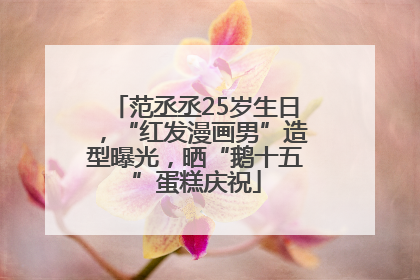 范丞丞25岁生日，“红发漫画男”造型曝光，晒“鹅十五”蛋糕庆祝