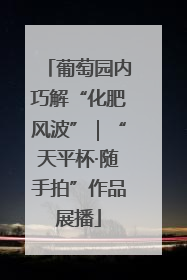 葡萄园内巧解“化肥风波”｜“天平杯·随手拍”作品展播