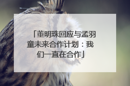 董明珠回应与孟羽童未来合作计划：我们一直在合作