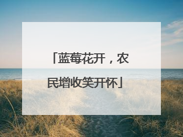 蓝莓花开，农民增收笑开怀