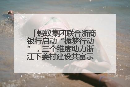 蚂蚁集团联合浙商银行启动“栀梦行动”，三个维度助力浙江下姜村建设共富示范区示范点
