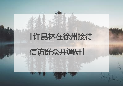 许昆林在徐州接待信访群众并调研