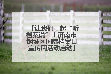让我们一起“听档案说”！济南市钢城区国际档案日宣传周活动启动
