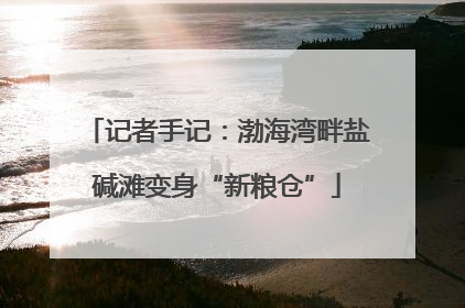 记者手记：渤海湾畔盐碱滩变身“新粮仓”
