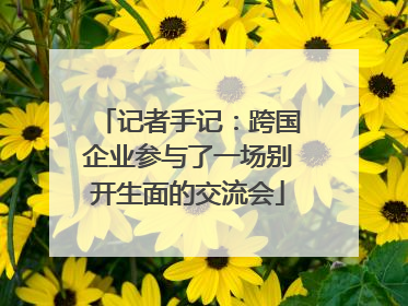 记者手记：跨国企业参与了一场别开生面的交流会