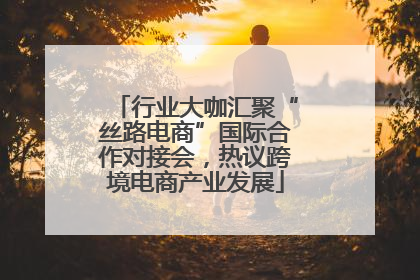行业大咖汇聚“丝路电商”国际合作对接会，热议跨境电商产业发展
