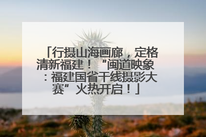 行摄山海画廊，定格清新福建！“闽道映象：福建国省干线摄影大赛”火热开启！