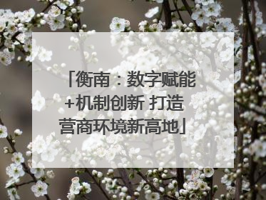 衡南：数字赋能+机制创新 打造营商环境新高地