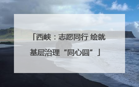 西峡：志愿同行 绘就基层治理“同心圆”