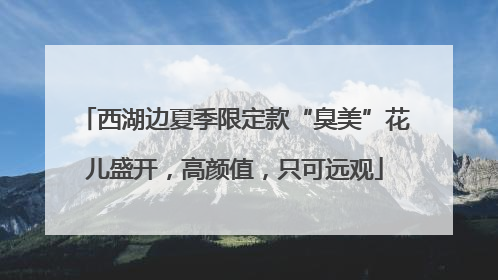 西湖边夏季限定款“臭美”花儿盛开，高颜值，只可远观