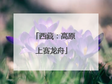 西藏：高原上赛龙舟