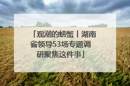 观潮的螃蟹丨湖南省领导53场专题调研聚焦这件事