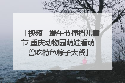 视频｜端午节撞档儿童节 重庆动物园萌娃看萌兽吃特色粽子大餐