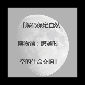 解码保定自然博物馆：跨越时空的生命交响