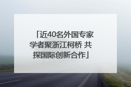 近40名外国专家学者聚浙江柯桥 共探国际创新合作