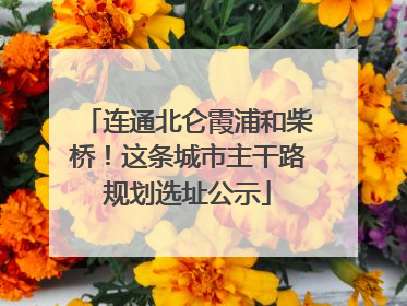 连通北仑霞浦和柴桥！这条城市主干路规划选址公示