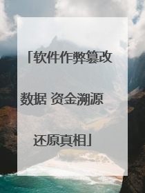 软件作弊篡改数据 资金溯源还原真相