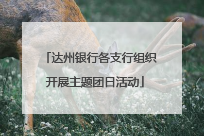 达州银行各支行组织开展主题团日活动