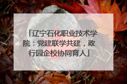 辽宁石化职业技术学院：党建联学共建，政行园企校协同育人