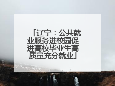 辽宁：公共就业服务进校园促进高校毕业生高质量充分就业