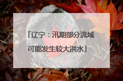 辽宁：汛期部分流域可能发生较大洪水