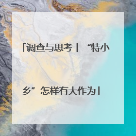 调查与思考丨“特小乡”怎样有大作为