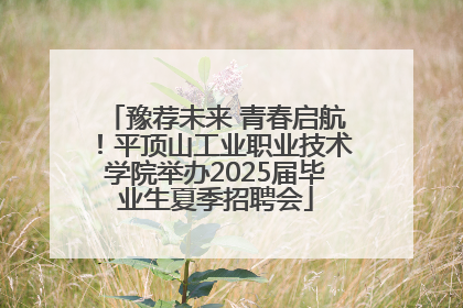 豫荐未来 青春启航！平顶山工业职业技术学院举办2025届毕业生夏季招聘会