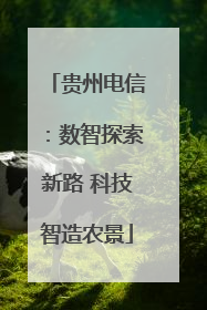 贵州电信：数智探索新路 科技智造农景
