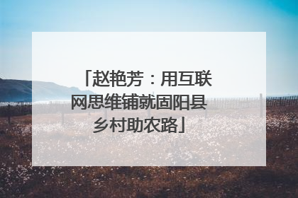 赵艳芳：用互联网思维铺就固阳县乡村助农路