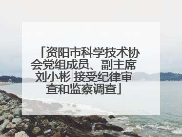 资阳市科学技术协会党组成员、副主席刘小彬 接受纪律审查和监察调查