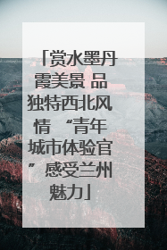 赏水墨丹霞美景 品独特西北风情 “青年城市体验官”感受兰州魅力