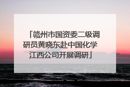 赣州市国资委二级调研员黄晓东赴中国化学江西公司开展调研