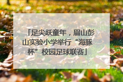 足尖跃童年，眉山彭山实验小学举行“海豚杯”校园足球联赛