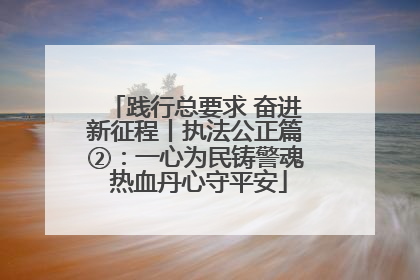 践行总要求 奋进新征程丨执法公正篇②：一心为民铸警魂 热血丹心守平安