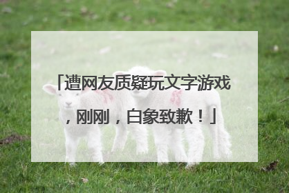 遭网友质疑玩文字游戏，刚刚，白象致歉！