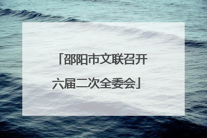 邵阳市文联召开六届二次全委会