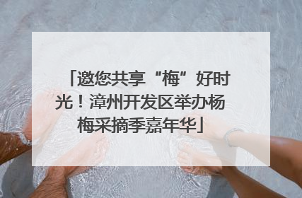 邀您共享“梅”好时光！漳州开发区举办杨梅采摘季嘉年华